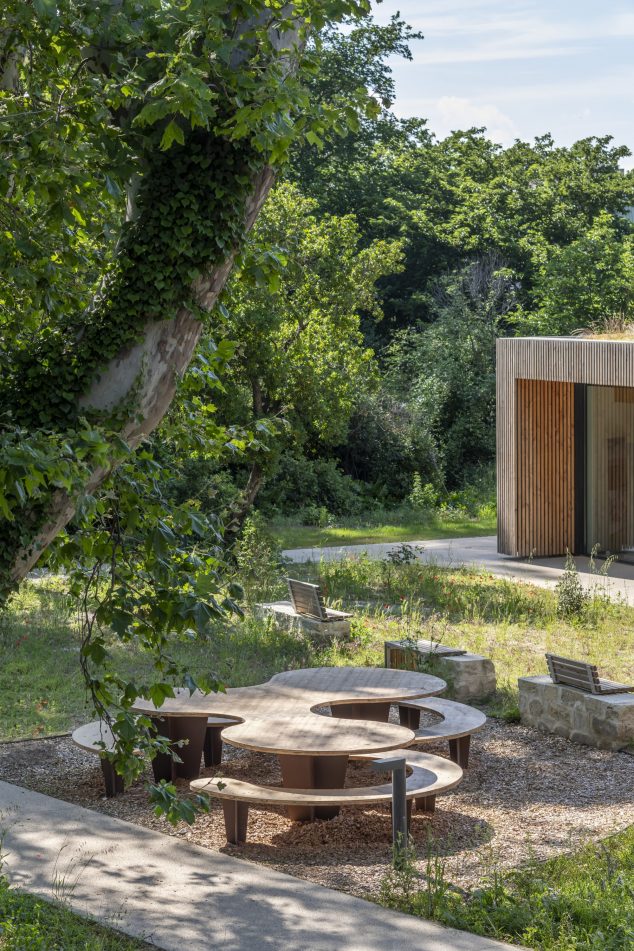 Coeur de Centre INRAE à AVIGNON (84) - Sous le platane